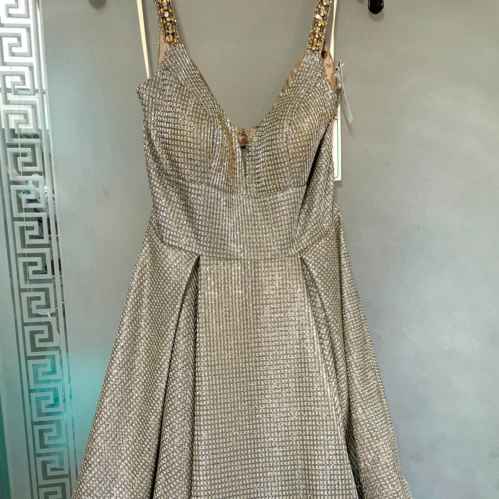 Gorgeous silver dress for a special occasion.